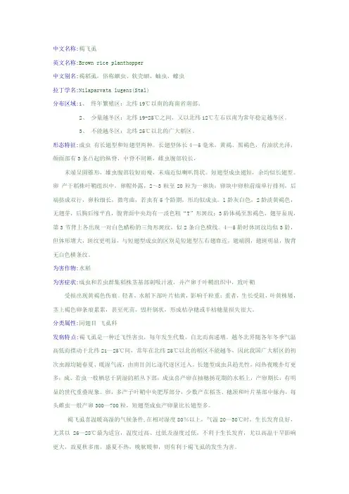 褐飞虱