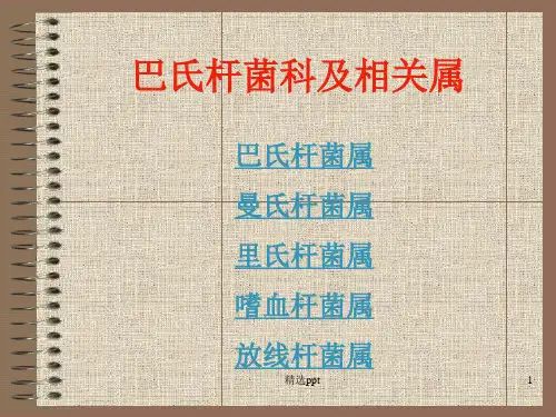执业兽医资格考试微生物学巴氏杆菌科及其相关属
