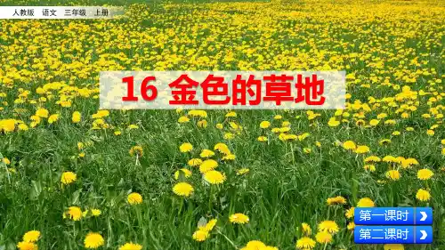 《金色的草地》PPT优秀课件