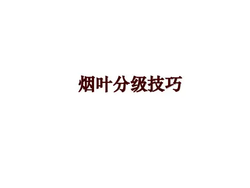 烟叶分级技巧