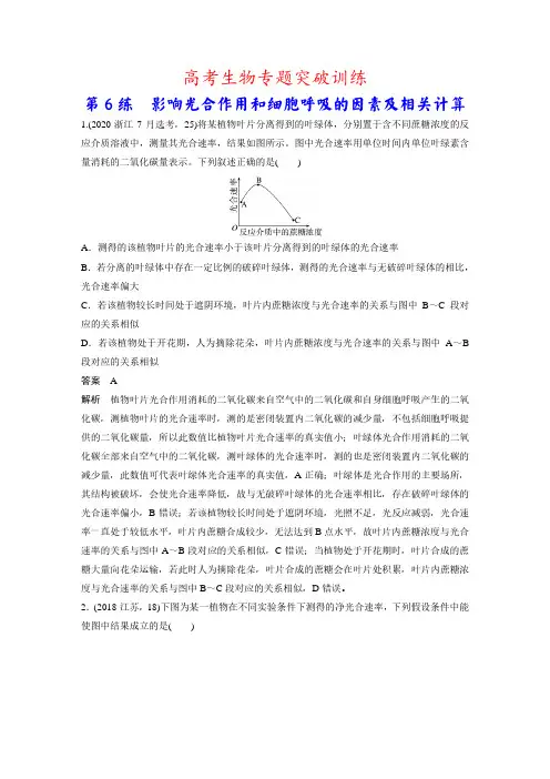 高考生物专题突破训练：第6练 影响光合作用和细胞呼吸的因素及相关计算