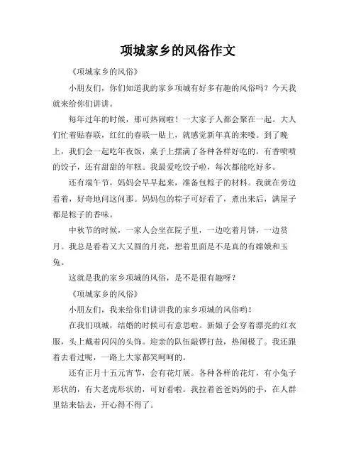 项城家乡的风俗作文