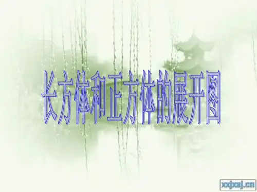 长方体和正方体展开图