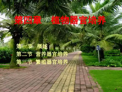 植物器官培养资料