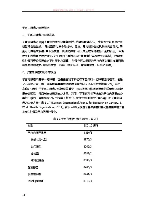 子宫内膜癌的病理概述
