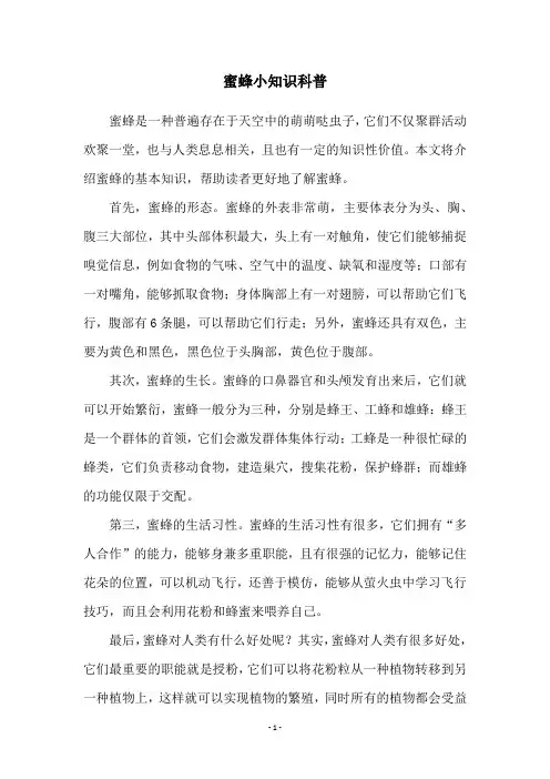 蜜蜂小知识科普