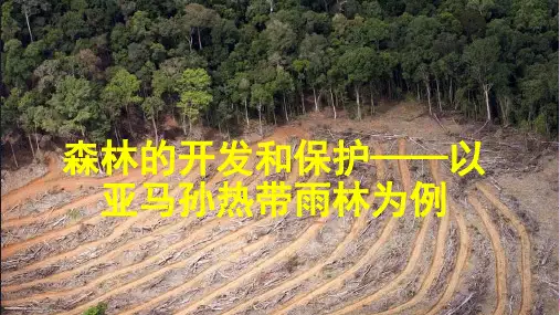 2.2 森林的开发和保护——以亚马孙热带雨林为例 课件-人教版必修三地理(共56张ppt)优质课件
