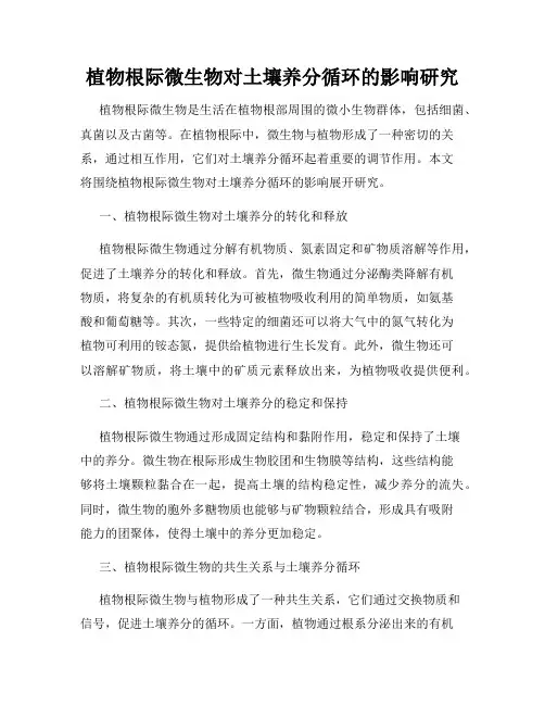 植物根际微生物对土壤养分循环的影响研究