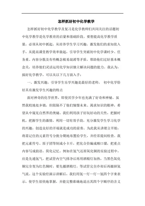 怎样抓好初中化学教学