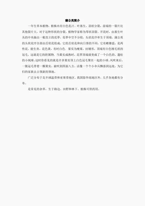 蒲公英简介