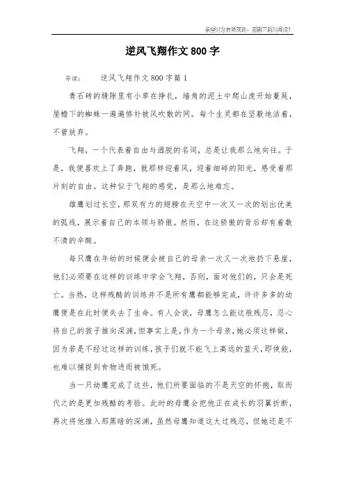 逆风飞翔作文800字