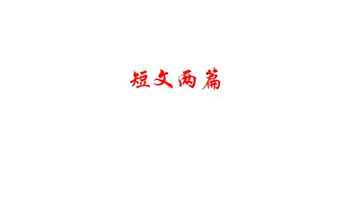 九年级下册13 短文两篇(谈读书、不求甚解)课件(共34张PPT)