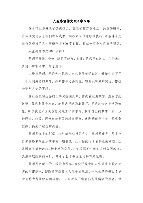 人生感悟作文800字5篇