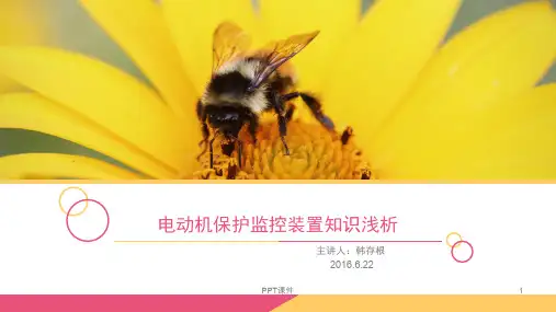 电动机马达保护器培训  ppt课件