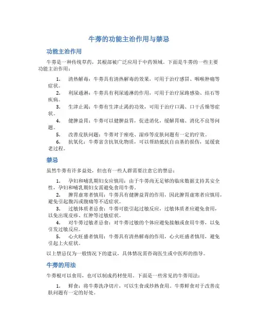 牛蒡的功能主治作用与禁忌