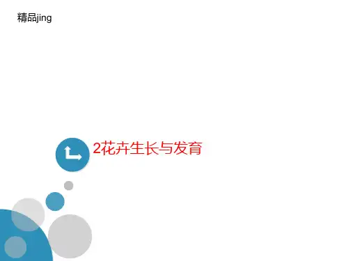2花卉生讲义长与发育