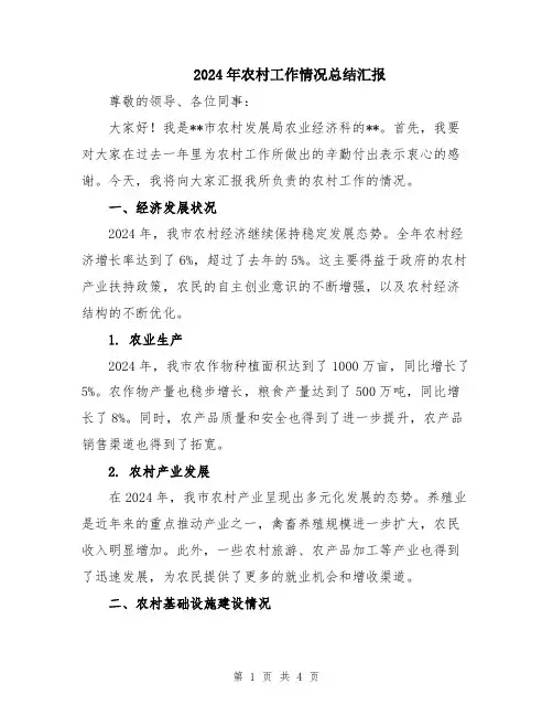 2024年农村工作情况总结汇报