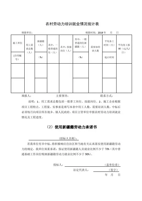 使用新疆籍劳动力承诺书