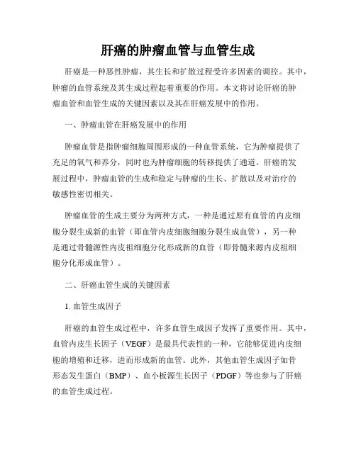 肝癌的肿瘤血管与血管生成