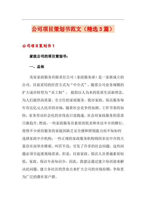 公司项目策划书范文(精选3篇)