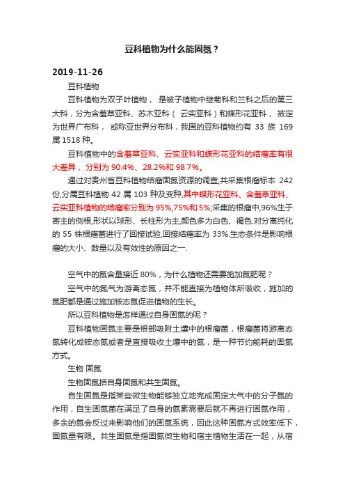 豆科植物为什么能固氮？