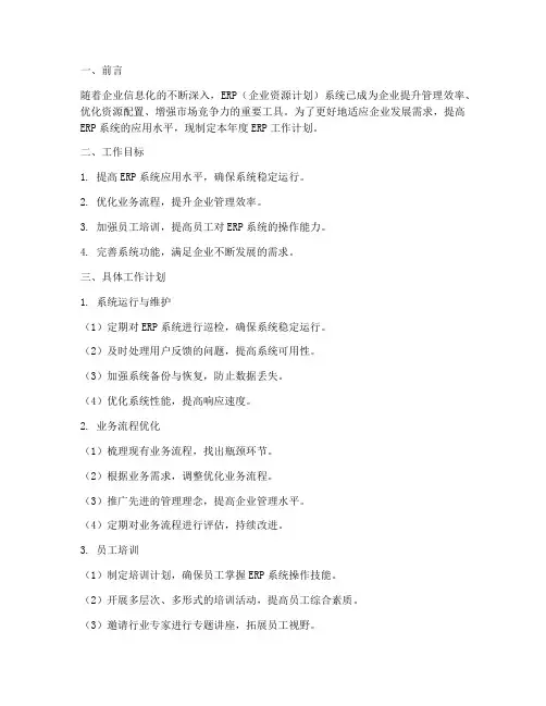 明年erp工作计划