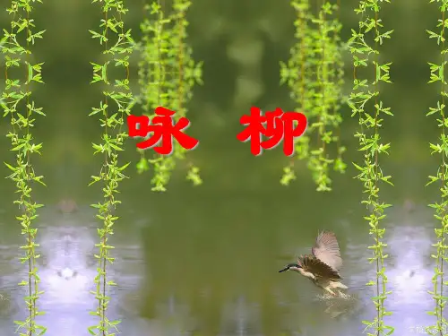 部编版二年级语文下册1古诗二首咏柳课件(共23张PPT)