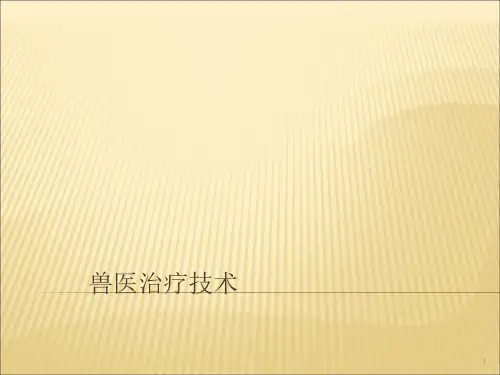 兽医治疗技术ppt课件
