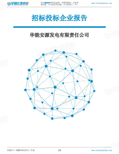 华能安源发电有限责任公司-招投标数据分析报告