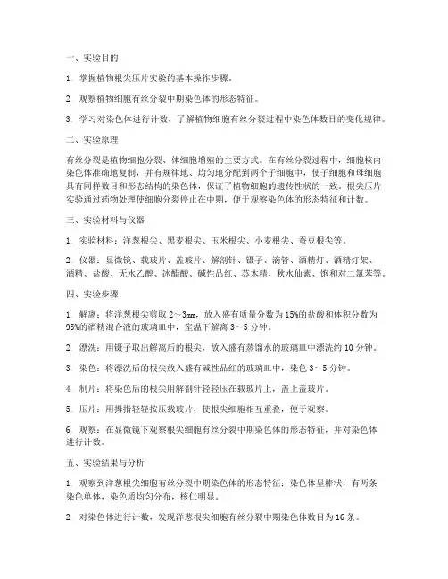 根尖压片实验报告