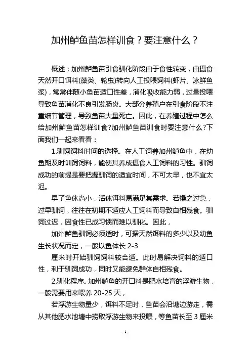 加州鲈鱼苗怎样训食？要注意什么？
