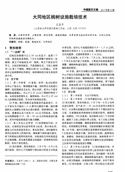 大同地区桃树设施栽培技术