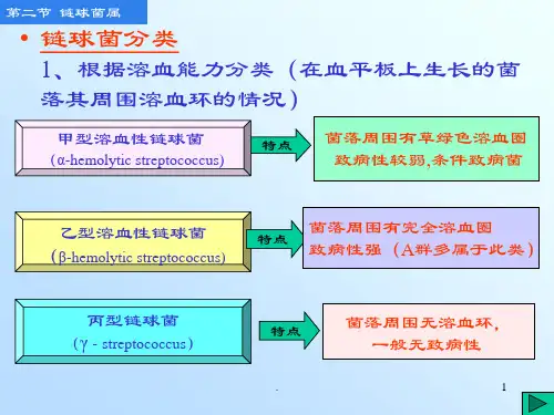 微生物链球菌ppt演示课件