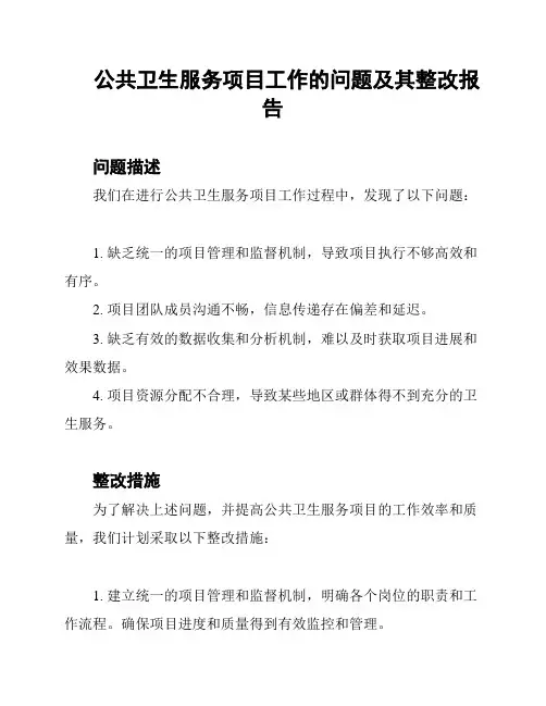 公共卫生服务项目工作的问题及其整改报告