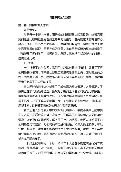 如何带新人方案