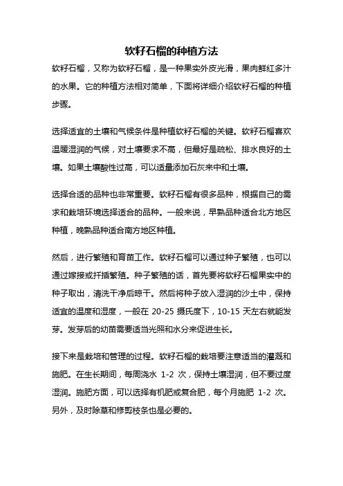 软籽石榴的种植方法