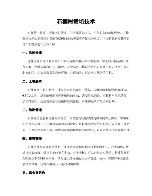 石榴树栽培技术