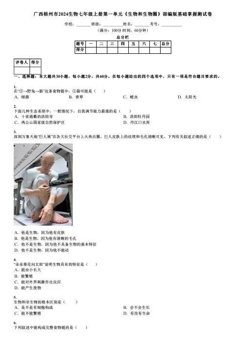 广西梧州市2024生物七年级上册第一单元《生物和生物圈》部编版基础掌握测试卷
