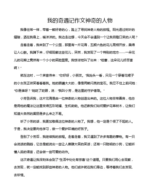 我的奇遇记作文神奇的人物