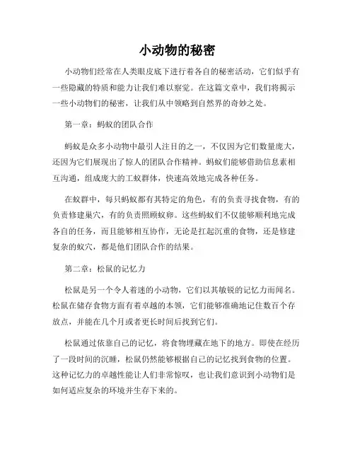 小动物的秘密