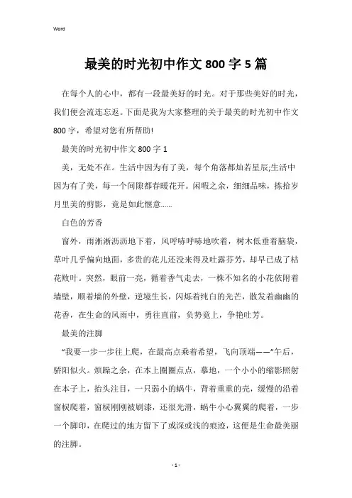 最美的时光初中作文800字5篇