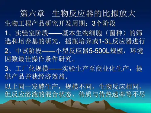 第六章生物反应器的比拟放大