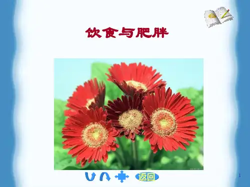 饮食与肥胖专题ppt课件