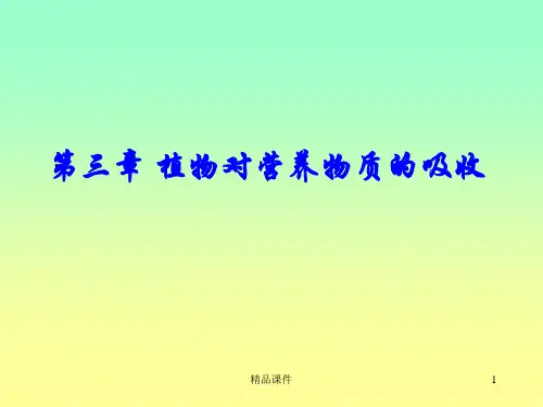 植物对养分的吸收