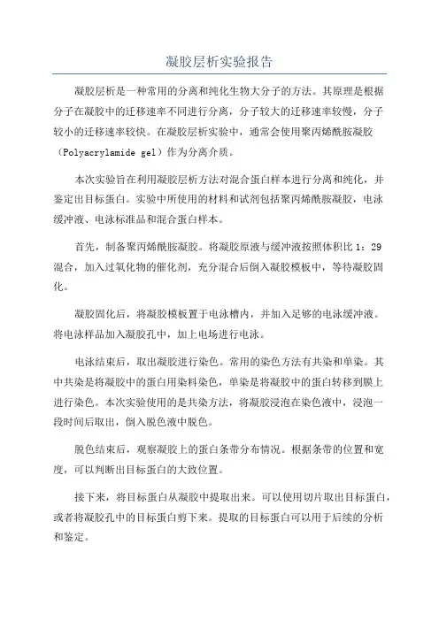 凝胶层析实验报告