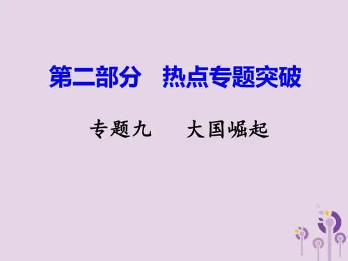 湖南省衡阳市2018年中考历史一轮复习第二部分热点专题突破专题九大国崛起课件
