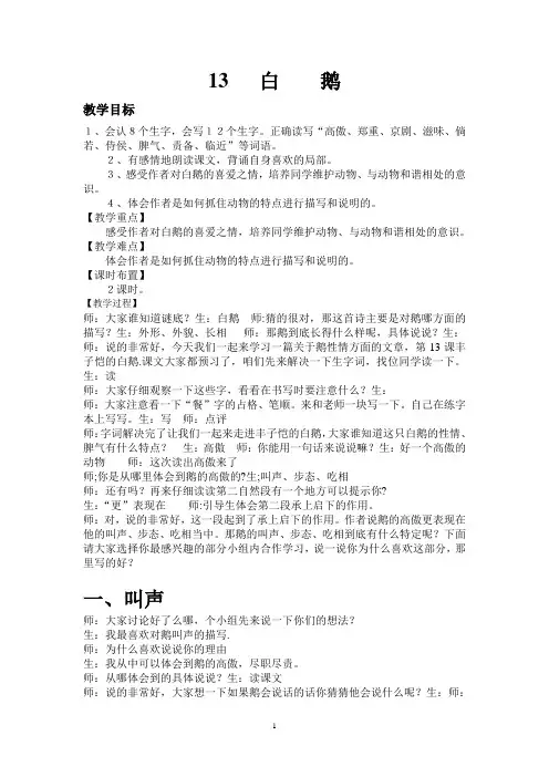 13   白    鹅