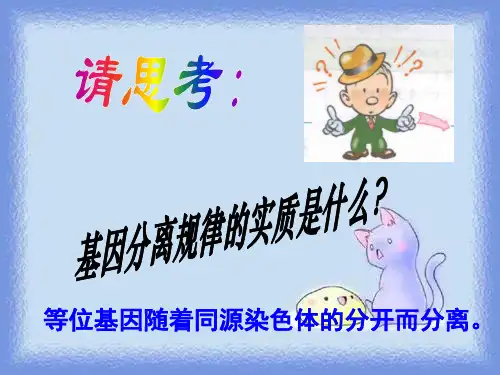 2023必修2第二节《基因的自由组合定律》ppt
