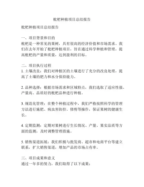 枇杷种植项目总结报告
