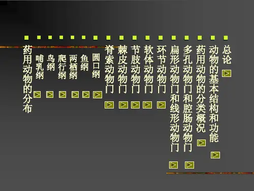 药用动物学PPT课件